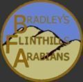 Bradley's Flinthills Arabians